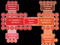 Буквы гласные и согласные и фонетический разбор слова Русский алфавит разделением на гласные и согласные